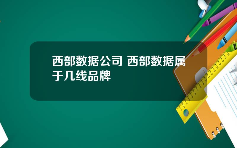 西部数据公司 西部数据属于几线品牌